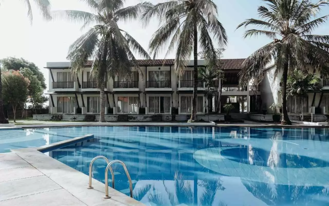 Swimming pool palm trees building